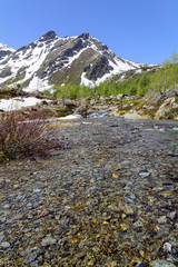 Sorgenti di fusione ghiacciai in alta montagna