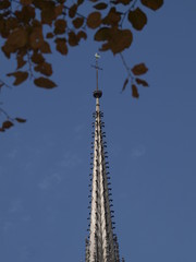 Catedral de Notre Dame de Par&iacute;s