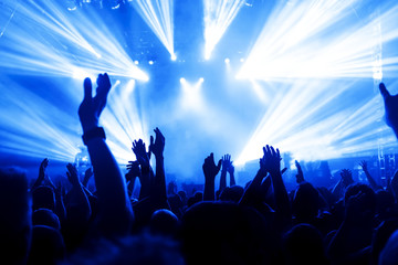 cheering crowd at concert