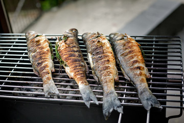 Sea bass barbeque