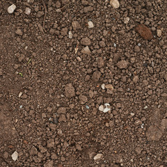 Brown earth fragment