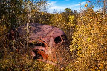Old Abandoned Rusted Antique Car in Heavy Weeds