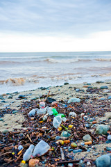 Fototapeta na wymiar pollution on the beach