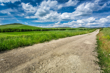 Fototapeta na wymiar Dirt road between green fields