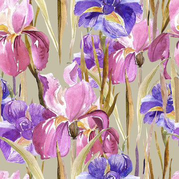 Irises seamless pattern