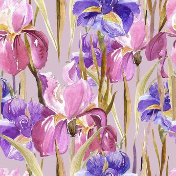 Irises seamless pattern