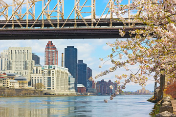 East River, Manhattan and Queensborough Bridge in spring
