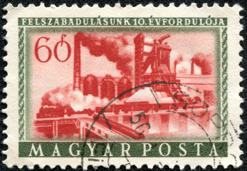 stamp printed by Hungary, shows plant