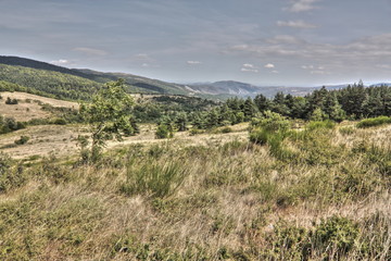 Paysage des fenouill&egrave;des