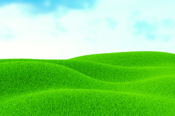 Fototapeta premium Green Field of grass