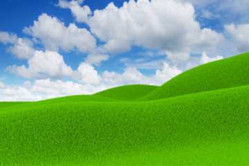 Green field and blue sky in countryside