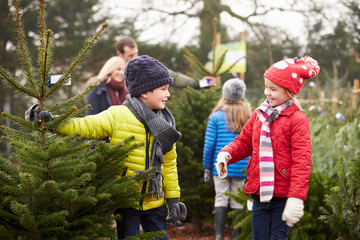 Outdoor Family Choosing Christmas Tree Together