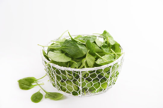 Baby spinach isolated on  white background