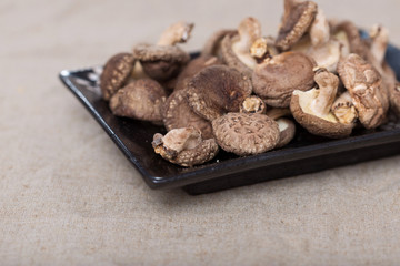 Shiitake Mushrooms