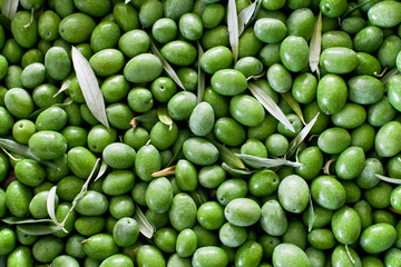 Olives