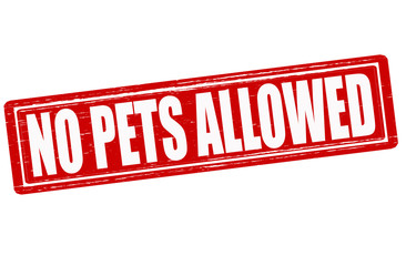 No pets allowed