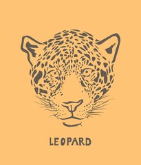 Vector leopard head