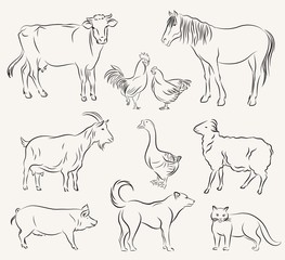 farm animals