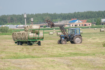 Mechanized harvesting of grass on the flood-plain meadow