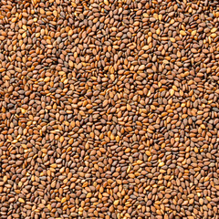 Red sesame seeds background