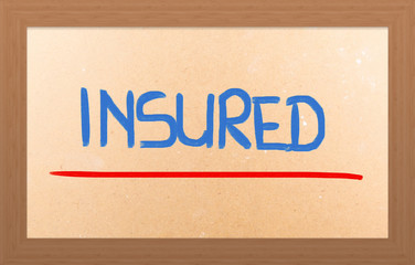 Obraz premium Insured Concept