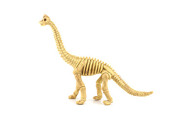 Fototapeta na wymiar Apatosaurus fossil skeleton toy isolated on white.