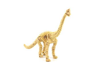 Apatosaurus fossil skeleton toy isolated on white.