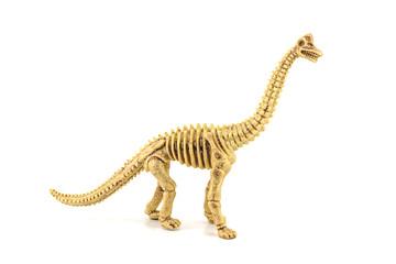 Apatosaurus fossil skeleton toy isolated on white.