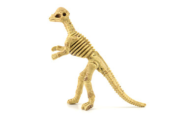 Pachycephalosaurus fossil skeleton toy isolated on white