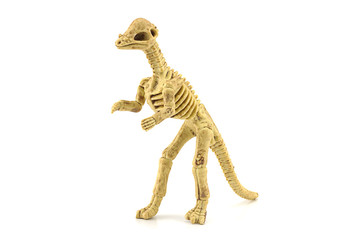 Pachycephalosaurus fossil skeleton toy isolated on white