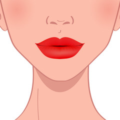 beautiful red female lips