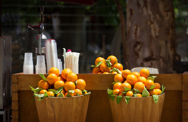 outdoor market with orange