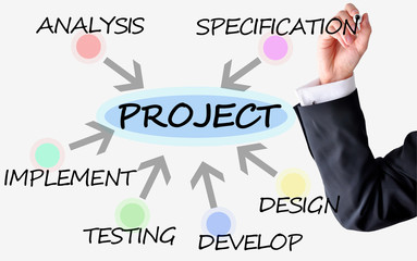 Project management versus software implementation with businessm