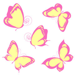 butterflies design