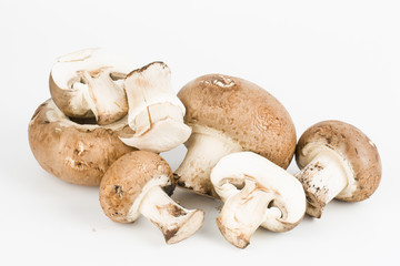 Fresh mushroom.