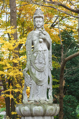 The Goddess of mercy  at Zojoji Temple in Kyoto