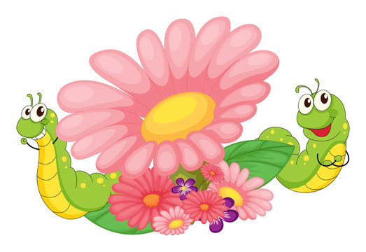 Smiling worms and blooming flowers