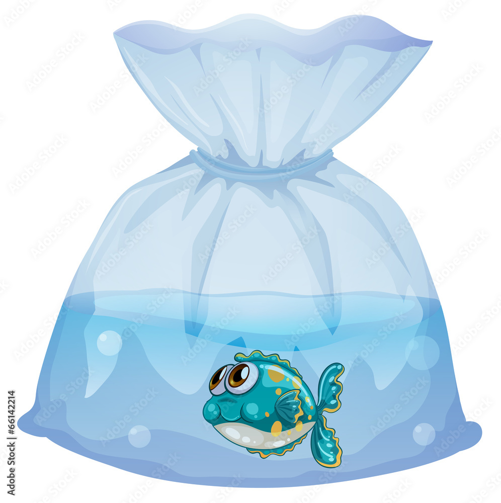 Poster a plastic pouch with a fish