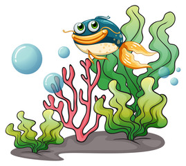 A fish under the sea