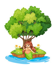 A mermaid resting in the island