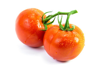 Fresh tomato with drop