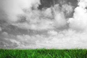 Green grass under grey sky - Powered by Adobe
