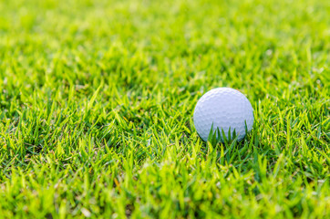 Golf ball on green grass