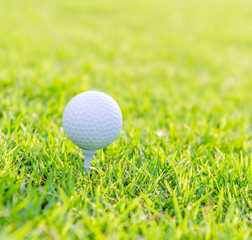 Golf ball on green grass
