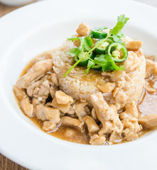 Chicken with brown sauce on rice