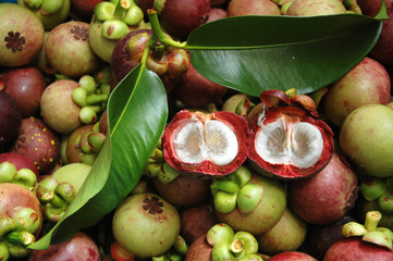 mangosteen