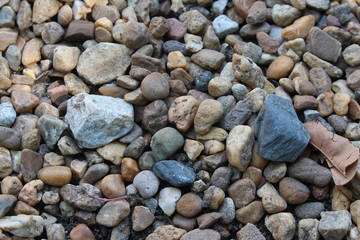 The beach stone