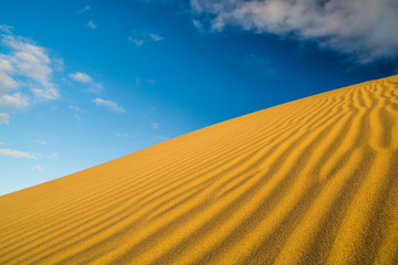 Maspalomas dunes