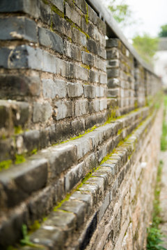 wall