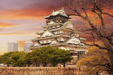 Osaka castle